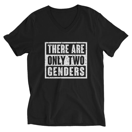 There Are Only Two Genders Women's V-Neck Shirt